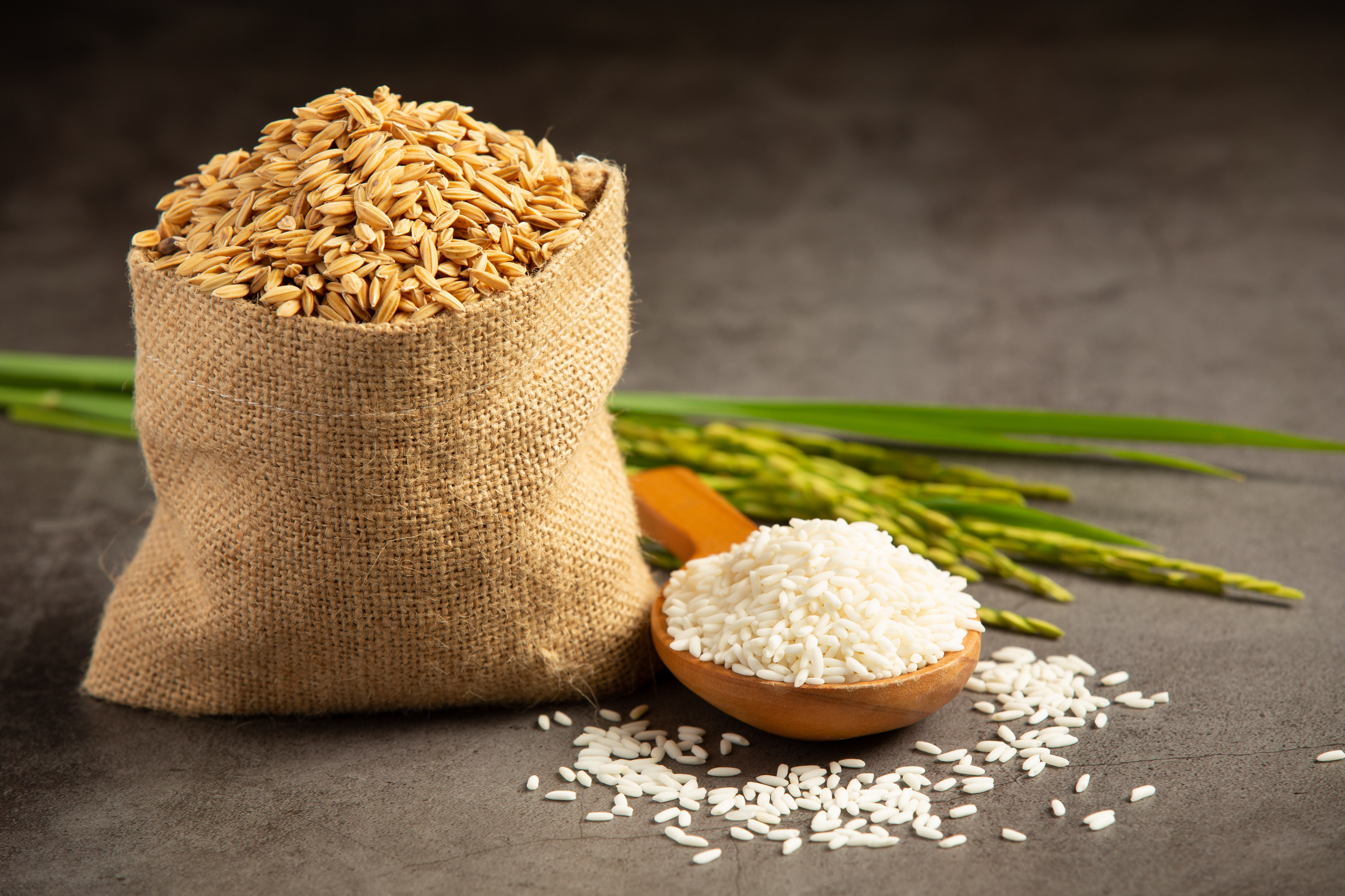 Rice Detail
